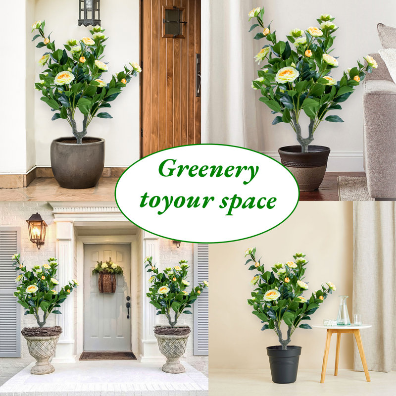 90cm Plant
