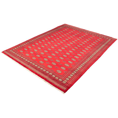 Tapis de zone en laine 9 pi 8 po x 12 pi 10 po one-of-kind à la main-noué la 2010 bokhara Allal