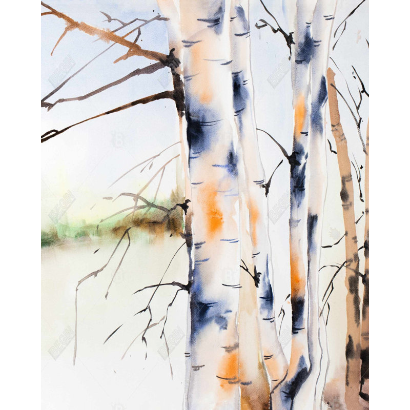 Birchs Trunks Print On Canvas