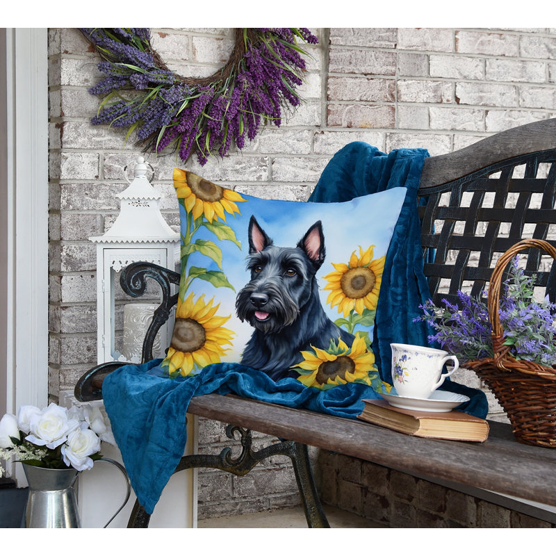 Other/No Pattern Outdoor Throw Pillow, 18"H x 18"W