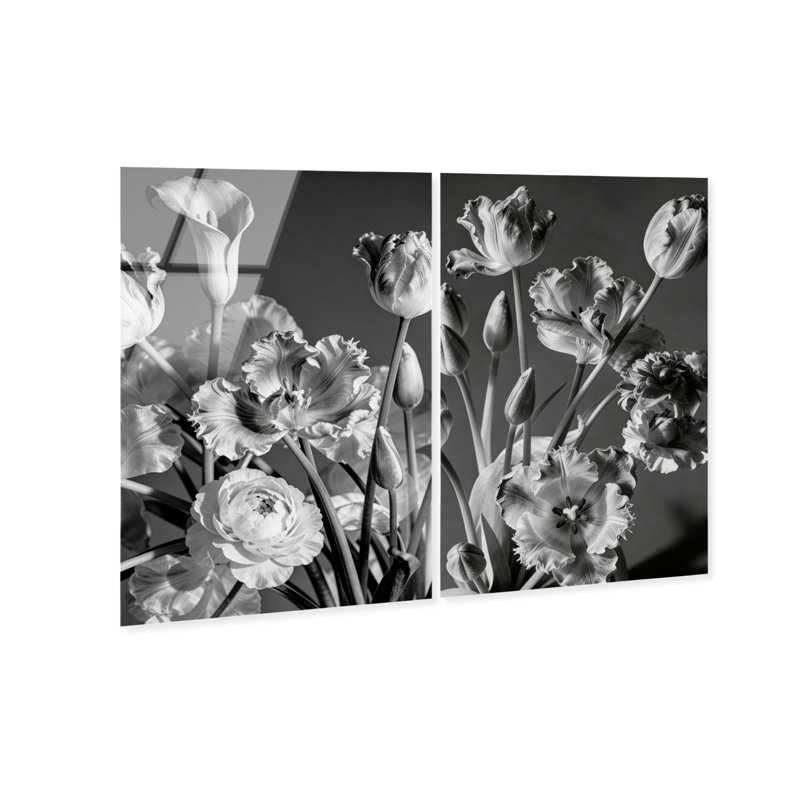 Botanique Noir Set High-Gloss Frameless Acrylic Glass Wall Art Floral & Botanical Print by Oliver Gal, Ready to Hang, 10 x 15