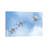 Swan Flight by Brian Wolf - Wrapped Canvas Gallery-Wrapped Canvas Giclée-15783381