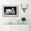 White Swan Swimming - Picture Frame Painting Print-56739281-56739283