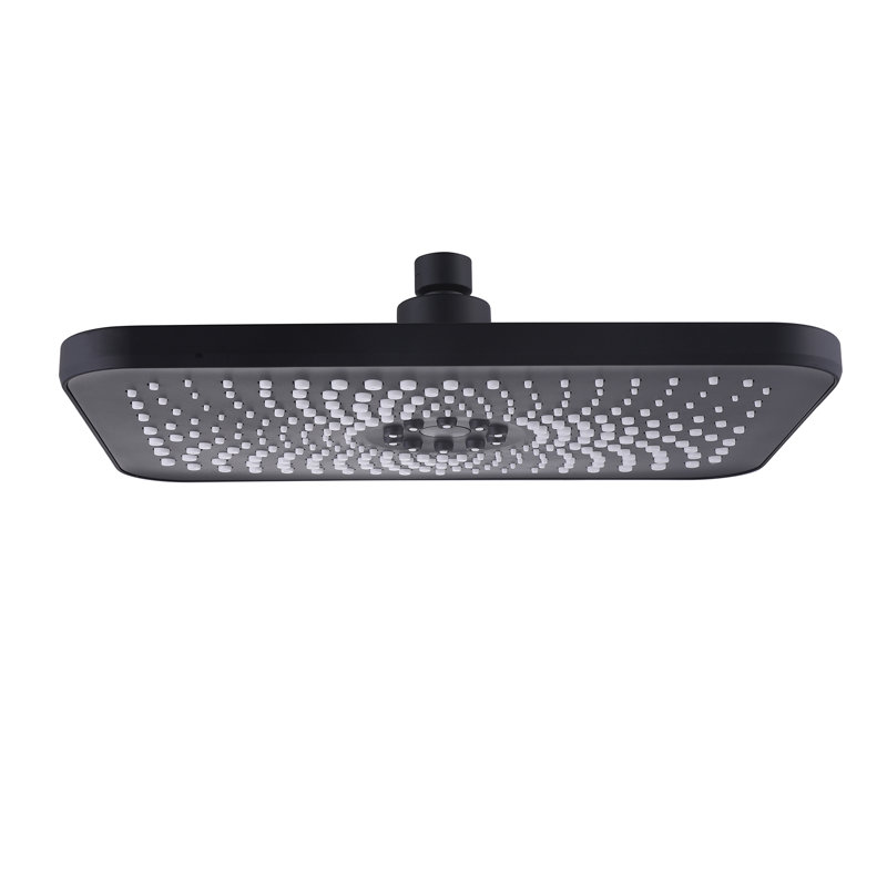 Pomme de douche à pluie fixe 1,6 GPM GPM, Noir mat