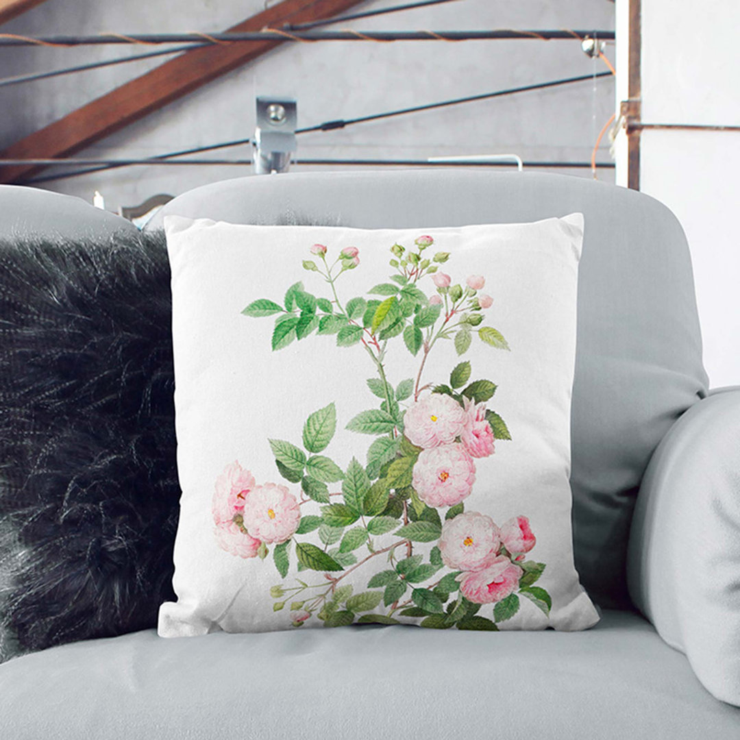Baby Roses by Pierre-Joseph Redoute Cushion with Filling