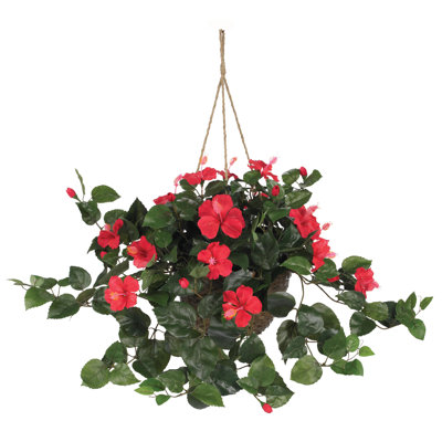 Hibiscus Hanging Basket Arrangement in Basket