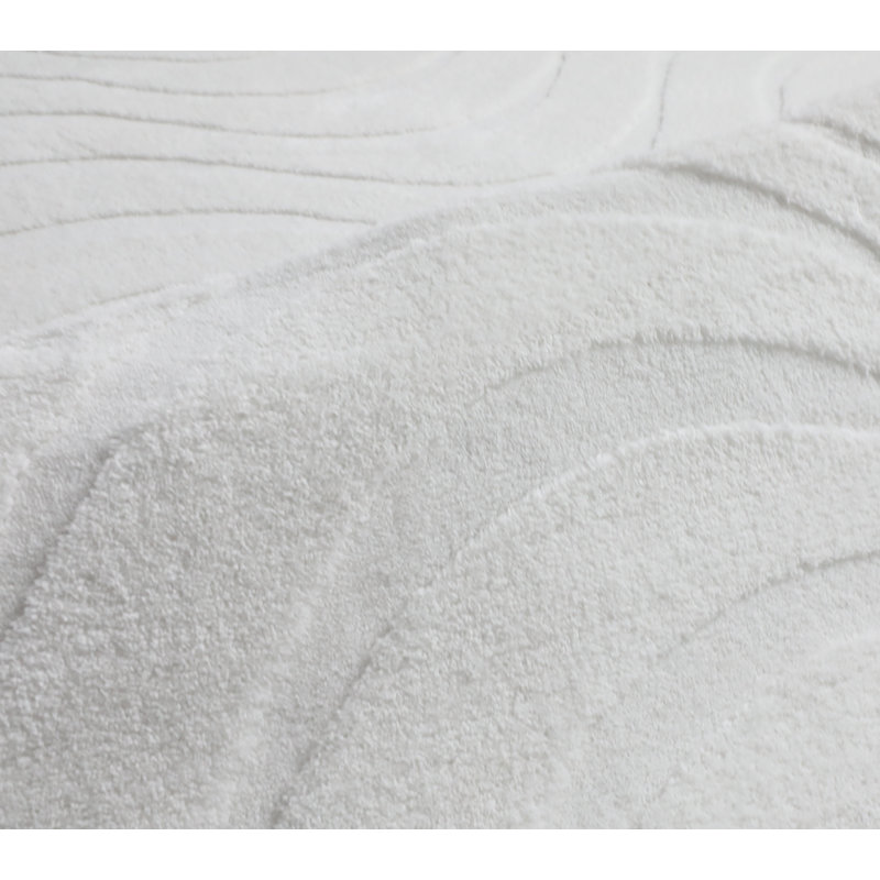 Tapis blanc à poils longs lavable Hardage, Rectangle 5 pi x 7 pi