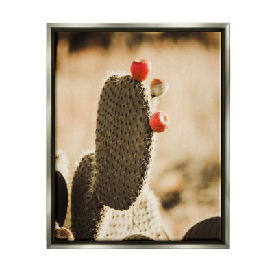 Art mural sur toile "Prickly poire cactus fruits" par Krista Broadway