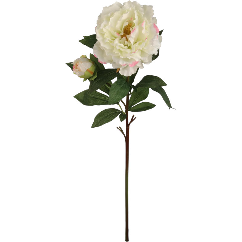 2 tiges de pivoine de 30 po