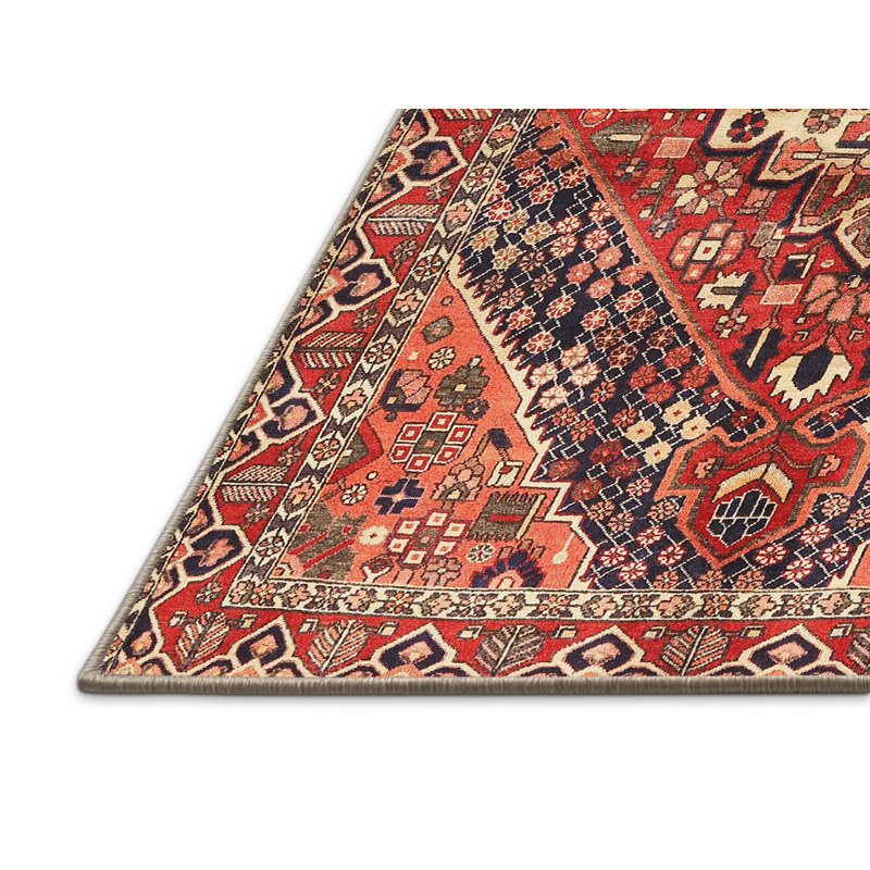Tapis beige/noir/rouge traditionnel Donohoo, Rectangle 3 pi x 5 pi