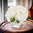 Silk Peony Arrangement in Vase-1638059412