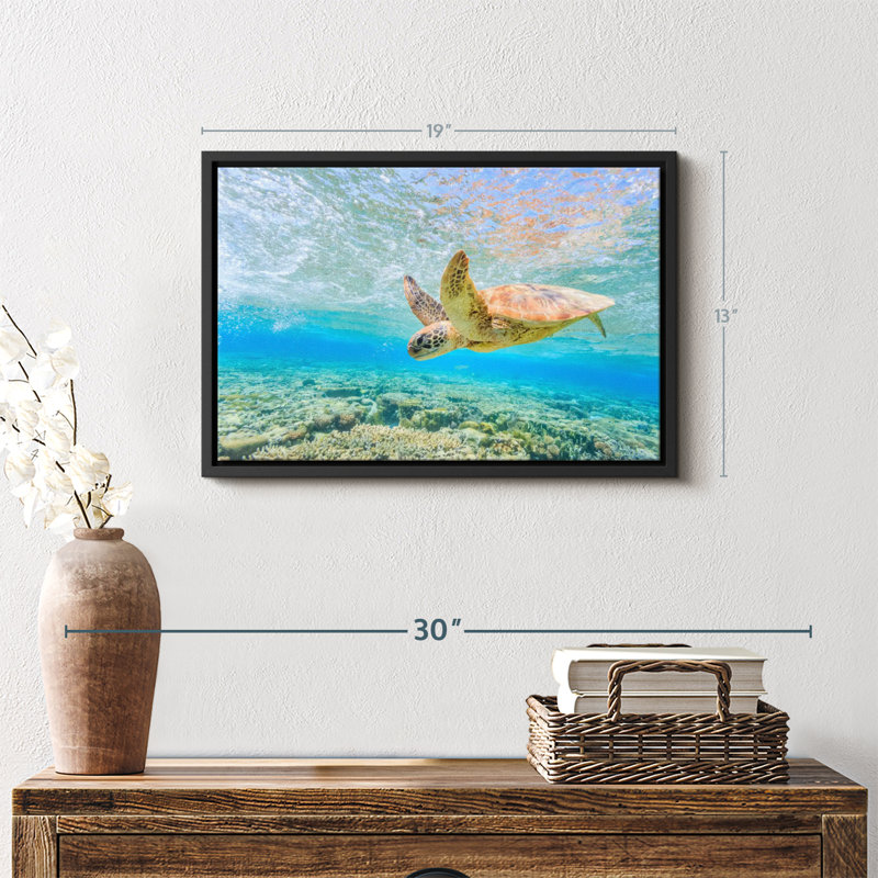 Turtle Dive Canvas Print, 13" H x 19" W