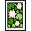 Water Lily - Single Picture Frame Painting-535156032