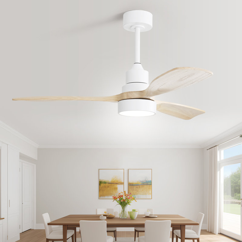 48" Nicola 3 - Blade Modern Ceiling Fan with Remote Control and Light Kit, White with Burlywood Blades