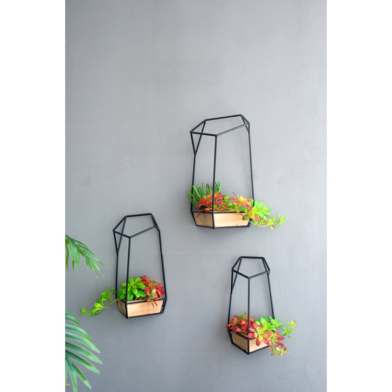 Ensemble de 3 pots à fleurs muraux Felix