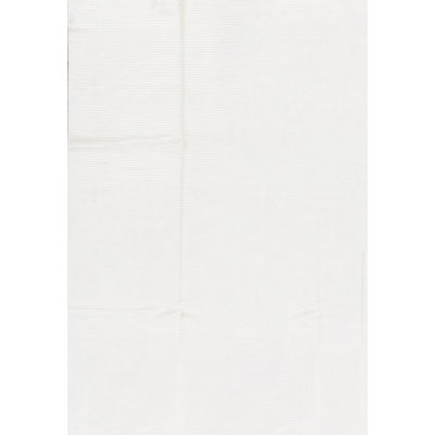 Hand-Knotted High-Quality Ivory Area Rug