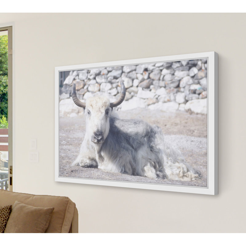Parvez Taj - Single Picture Frame Print, 41cm H x 61cm W x 3.81cm D