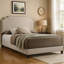 Lit tapissier standard Arsula-19914896-120248463
