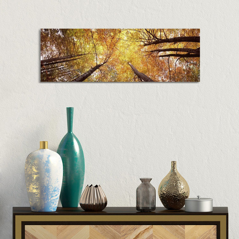 Low Angle View Of Trees, Bavaria, Germany - Wrapped Canvas Panoramic Print, 30.48 cm H x 91.44 cm W x 1.91 cm D