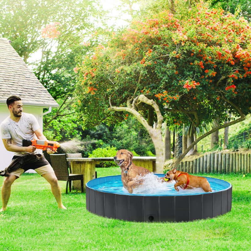  Grande baignoire pliable en PVC pour chiens / chats, H 12 po x l 79 po x P 79 po, Noir