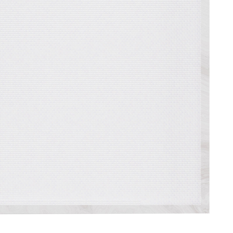 " Looking Sharp Shark " by Carla Daly, White Framed, 24" H x 24" W x 1.5" D