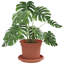 Pot Planter-894029777-894029782