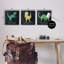 «Kid's Dinosaur Dimension Facts Chalk Inspired Design» par Daphne Polselli - ensemble de 3 impressions d'art graphique-53753970-56985408