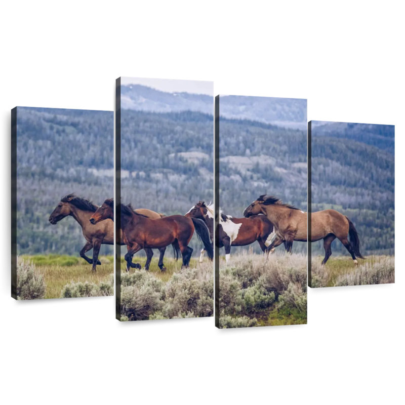Brampt Mountain Horses, H 22 po x l 36 po