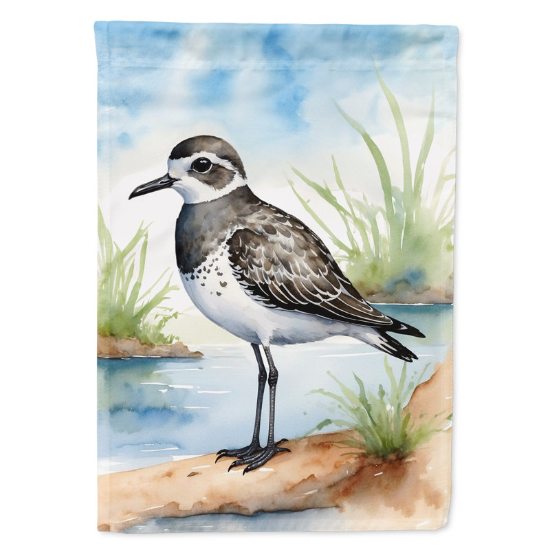 Drapeau de jardin Surfbird Bird, Pluvier à ventre noir