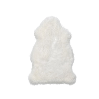 Asberry Novelty 70 cm x 100 cm Hand Woven Area Rug
