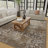 Raashid Oriental Indoor Rug-567313889
