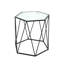 Indii Glass Top Frame End Table