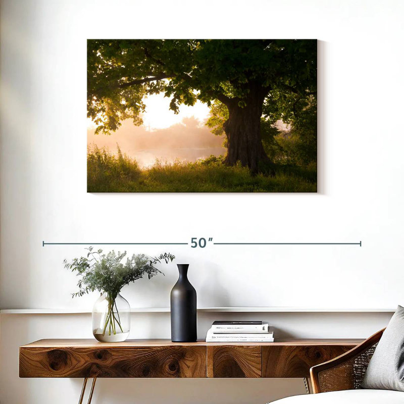 Harnek Oak Tree In Summer