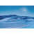 Wrapped Canvas