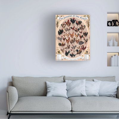 American School Poultry Of The World Poster, 1868 Canvas Art