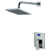 Digital Showers with Rough in-Valve