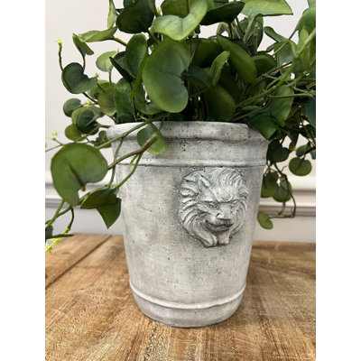 Lion Head Concrete Pot Planter