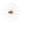 Flush Mounted Sconce-598177125