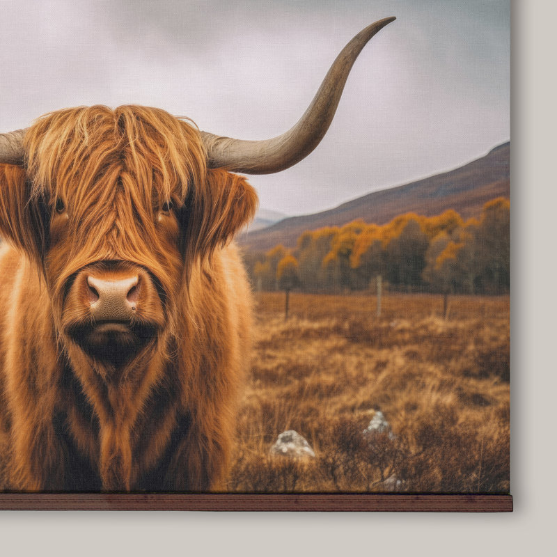 Tenture murale Highland Cow, H 40 po x l 60 po