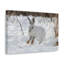 «Snow Hare Hunting Snow Hare on Hunt», reproduction d'art mural-76252411
