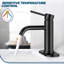  Robinet pour salle de bain à poignée simple avec bonde Forious® Ultra-94284466