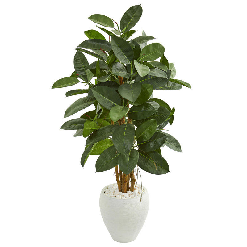 53'' Faux Rubber Tree in Earthenware Pot, White