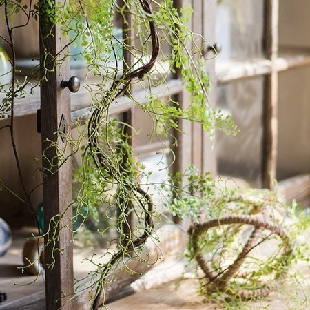 66'' Fern Plant, 1 Stem