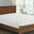 Oldham 1'' Mattress Pad-577426345