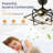 16" Modern Ceiling Fan with Dimmable Light, 3 Speeds, Reverse and Remote Included