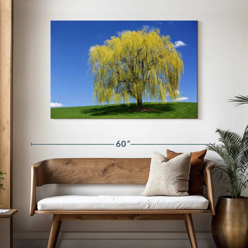 Harnek Spring Weeping Willow, 32" H x 48" W