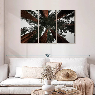 Redwoods de Harnek en Californie