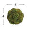 Boules de Sedum décoratives-306876331