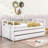 Dhruv Extra-long Twin Daybed with Trundle-1029912397