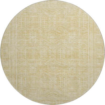 Premium Machine Washable Ashlynn Border Rug